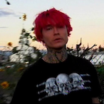 PRO.v2's Avatar'