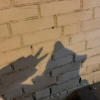 KoTShproT's Avatar'