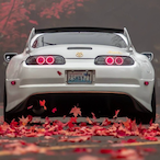 Kraftkanzler18's Avatar'