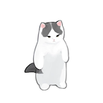 tjdqps8's Avatar'
