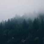 Deckeldreher's Avatar'