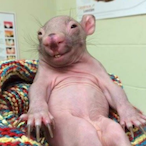 totheflowersx's Avatar'