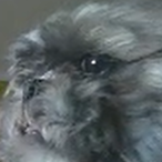 TT_Pablo's Avatar'