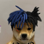 ll Max ll7342's Avatar'