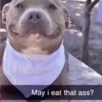 Frostbiteeeee's Avatar'