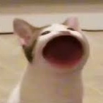 FartNugget47's Avatar'