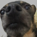 MoneeyMakerr's Avatar'