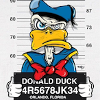 Dr.DonaldDuck's Avatar'
