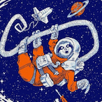 Slothmanaught.'s Avatar'