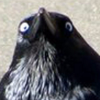 EdgarAllenCroe's Avatar