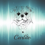 carlostabile's Avatar'