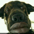 deadalexander1's Avatar'