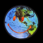 WLWxxBAILOUT's Avatar'