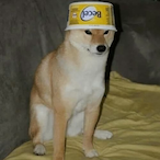 DerShiba1983's Avatar'