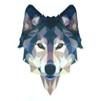 CaptainWolf45's Avatar'