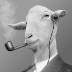 BlackLlamba420's Avatar'