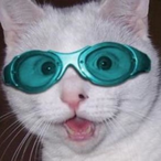 Chalk it unc163's Avatar'