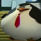 SaltyBok's Avatar'
