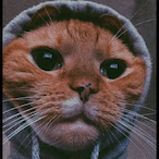 solar_ghenter's Avatar'