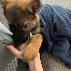 WhoTFjustFarted's Avatar'