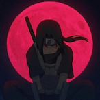 not.Pro's Avatar'