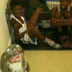 womengetter123's Avatar'