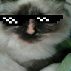 kak_wariwebolo's Avatar'