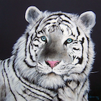 ClaudioF03's Avatar'