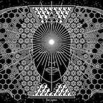 LuvThyNeighbor.'s Avatar'