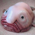 MTL OT1947's Avatar'