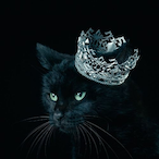 fent clutch's Avatar'