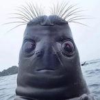 resmus's Avatar'