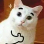 ChubbyLemon's Avatar'
