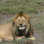 EnVGoinHard's Avatar'