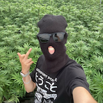 mareek.'s Avatar'