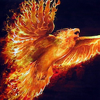 Not_PhoenixHD's Avatar'