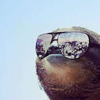 Ein_Faultier's Avatar'