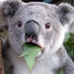 JayYayJayYay's Avatar