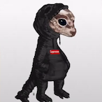 SquiddyIsSmelly's Avatar'