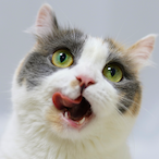 BeBetterLife's Avatar'