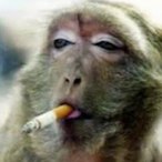 DiegouzeLaGuez's Avatar'