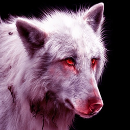 LilSpiritWolf19