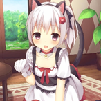 NikoSuFox's Avatar'