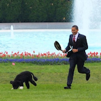 ObamaTookMyDog's Avatar'