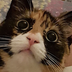 BlakeBoBake's Avatar'