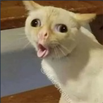 jaffajake23's Avatar'