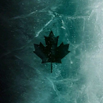 FROZONO8177's Avatar'