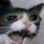 ManchildPVT23's Avatar'