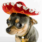 The.Sus.Dog's Avatar'