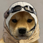 TungTungTroppi's Avatar'